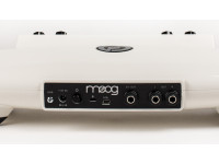 Moog Theremini Moog Theremini